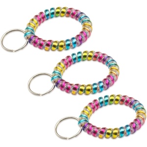 TENOC Spiral Coil Keychain, Anti-lost Key Chain Holder Lanyard Cord for Sauna Outdoor Sports and Gym Pool(Rainbow-s1)